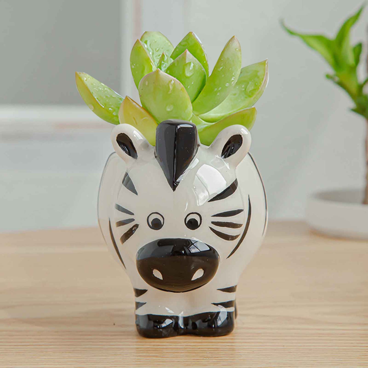 Ceramic Glazed Animal Planters