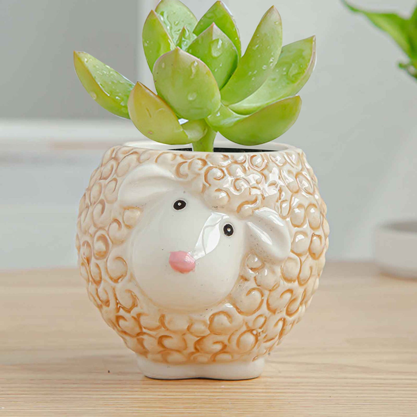 Ceramic Glazed Animal Planters